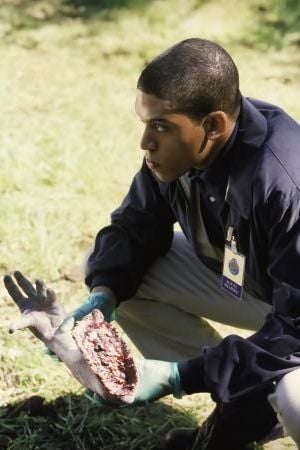 Los expedientes secretos X : Foto