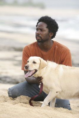 Foto Harold Perrineau