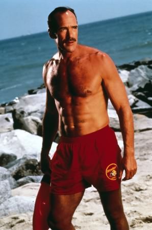 Guardianes de la bahía : Foto