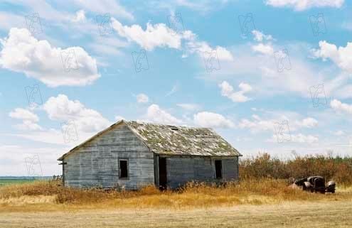 Secreto en la montaña : Foto Ang Lee