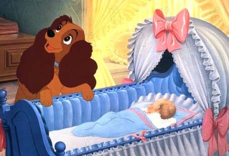 La dama y el vagabundo : Foto