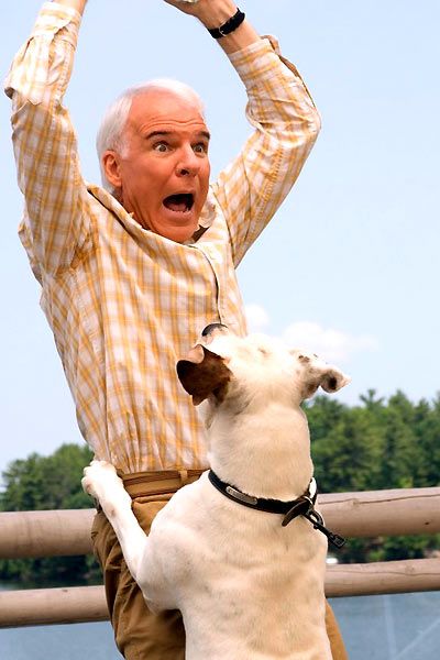 Más barato por docena 2 : Foto Adam Shankman, Steve Martin