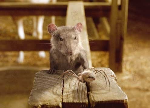 La telaraña de Charlotte : Foto Gary Winick