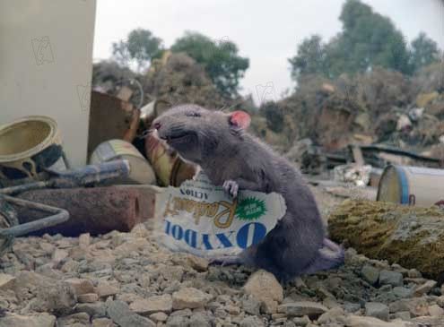 La telaraña de Charlotte : Foto Gary Winick