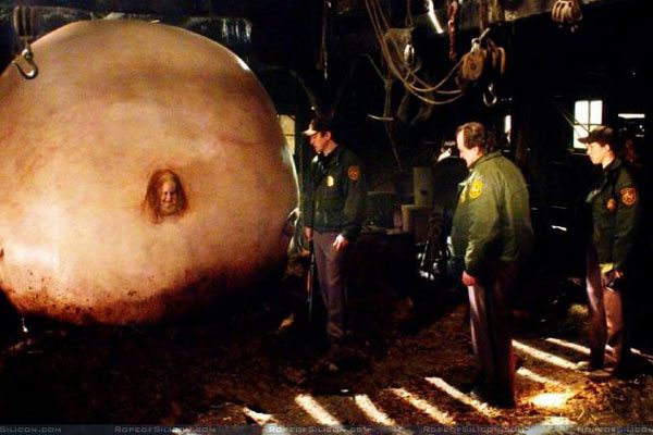 Slither: La plaga : Foto