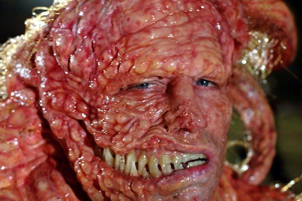 Slither: La plaga : Foto