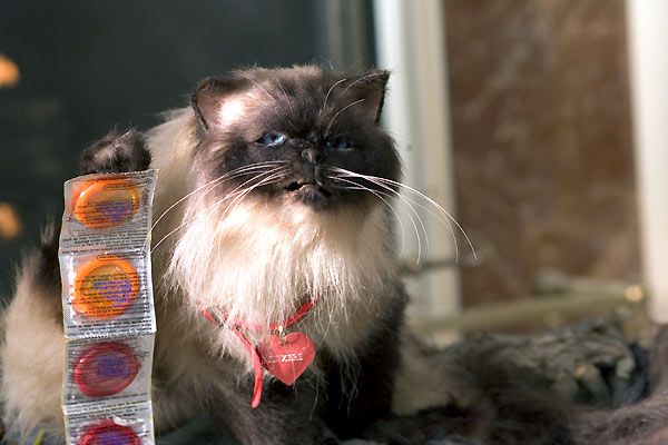 No es otra tonta película de amor : Foto