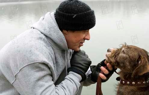Rocky Balboa : Foto Sylvester Stallone