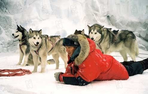 Rescate en la Antártida : Foto Paul Walker