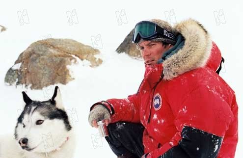Rescate en la Antártida : Foto Paul Walker