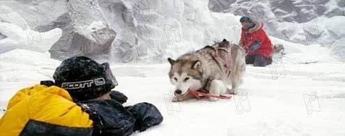 Rescate en la Antártida : Foto Bruce Greenwood, Paul Walker