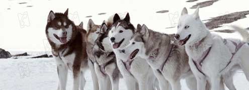 Rescate en la Antártida : Foto