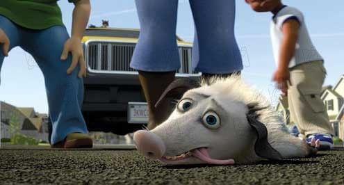 Vecinos invasores : Foto