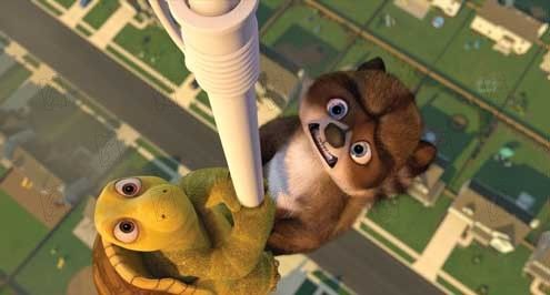 Vecinos invasores : Foto