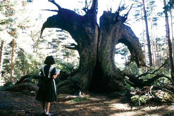 El laberinto del fauno : Foto Ivana Baquero