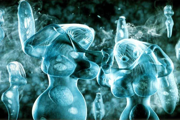 Scary Movie 4: Descuartizados de miedo : Foto David Zucker