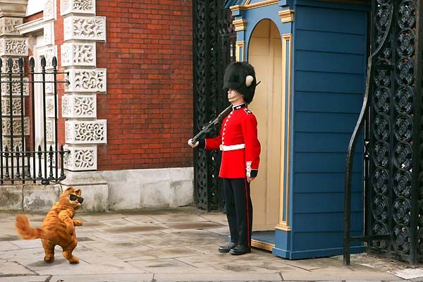 Garfield 2 : Foto Tim Hill