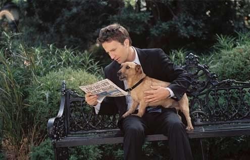 Garfield 2 : Foto Tim Hill