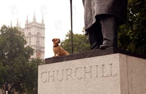 Garfield 2 : Foto Tim Hill