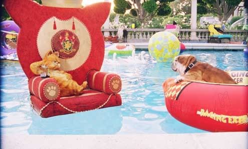 Garfield 2 : Foto Tim Hill