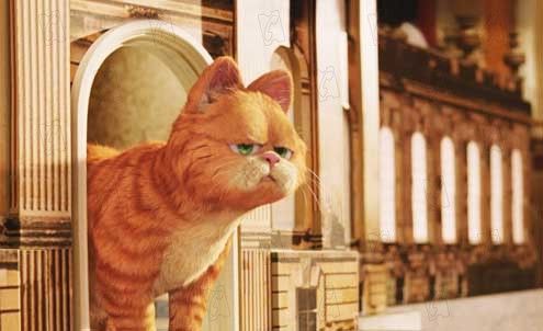 Garfield 2 : Foto Tim Hill