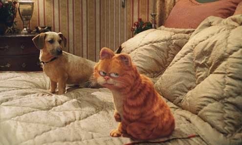 Garfield 2 : Foto Tim Hill