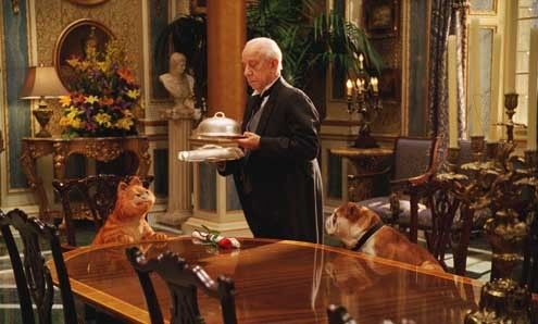 Garfield 2 : Foto Tim Hill