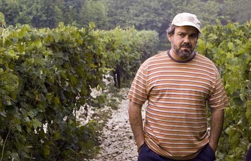 Un buen año : Foto Ridley Scott