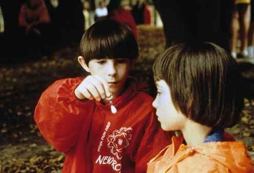 Mi vida en rosa : Foto