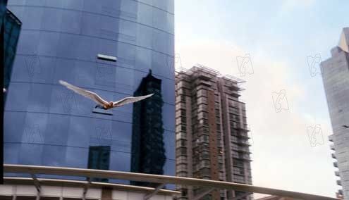 X-Men: La decisión final : Foto Brett Ratner, Ben Foster