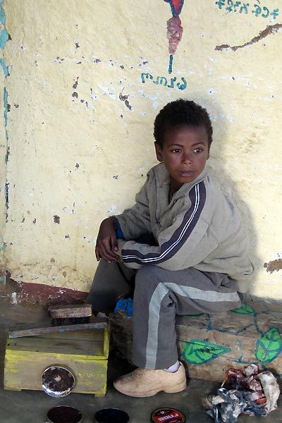 Foto Gus Van Sant, Jane Campion, Gael García Bernal, Mira Nair