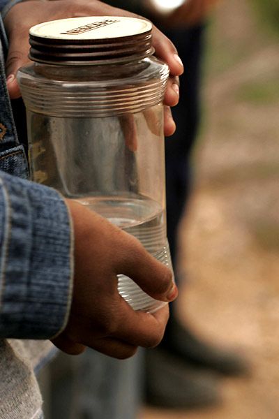 Foto Gus Van Sant, Jane Campion, Gael García Bernal, Mira Nair