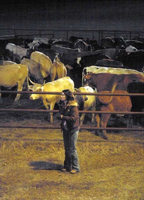 Fast Food Nation : Foto Richard Linklater