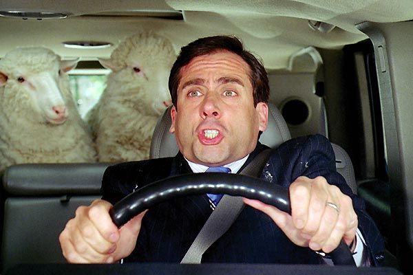 Regreso del Todopoderoso : Foto Steve Carell
