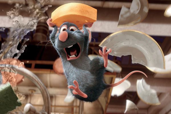 Ratatouille : Foto