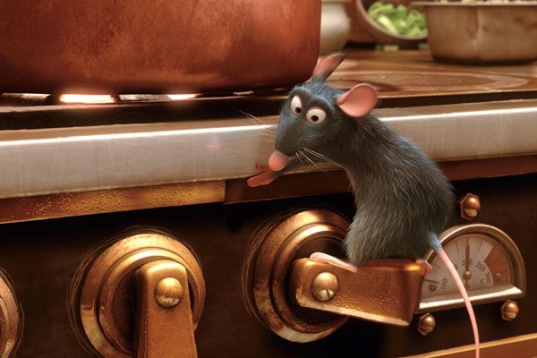 Ratatouille : Foto
