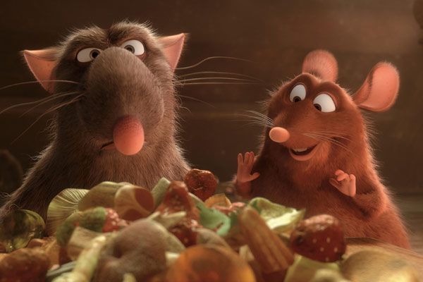 Ratatouille : Foto