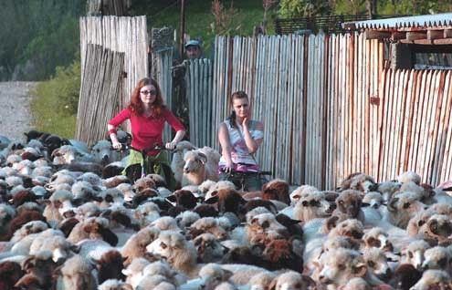 La Perversión : Foto