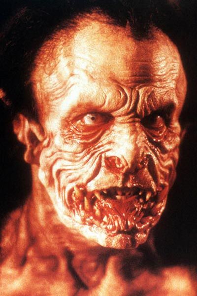 Del crepúsculo al amanecer : Foto