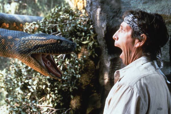 Anaconda : Foto