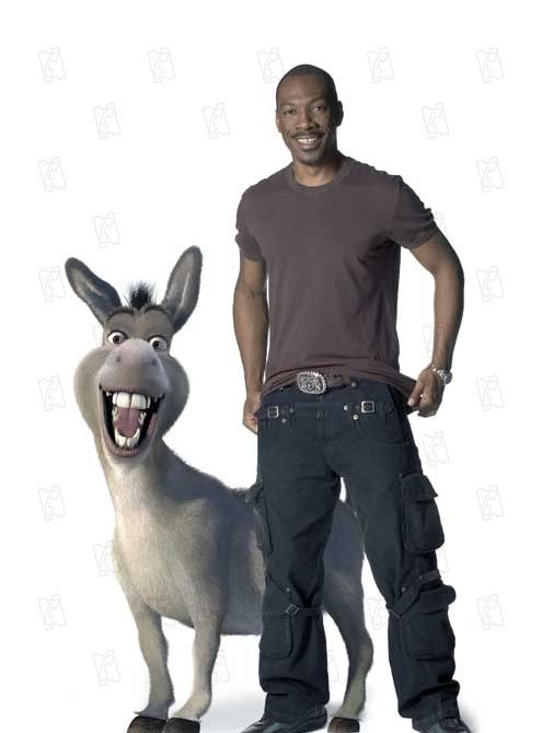 Shrek Tercero : Foto Chris Miller (I)