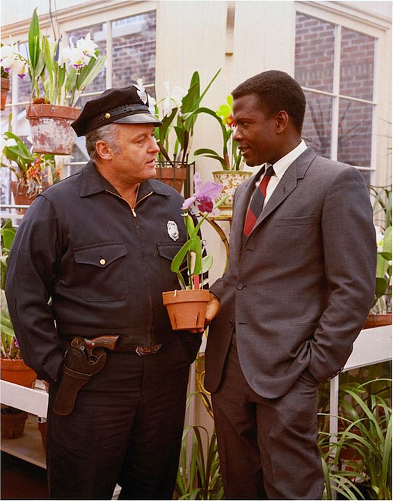 En el calor de la noche : Foto