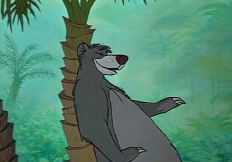 El libro de la selva : Foto