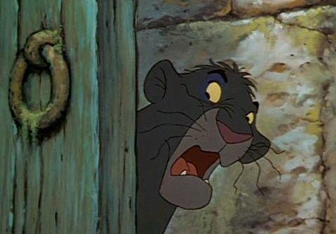 El libro de la selva : Foto