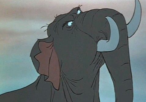 El libro de la selva : Foto