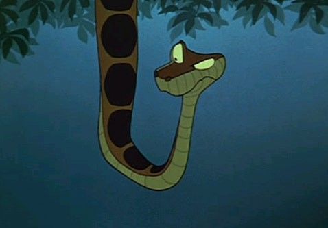 El libro de la selva : Foto