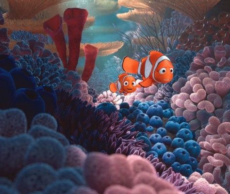 Buscando a Nemo : Foto