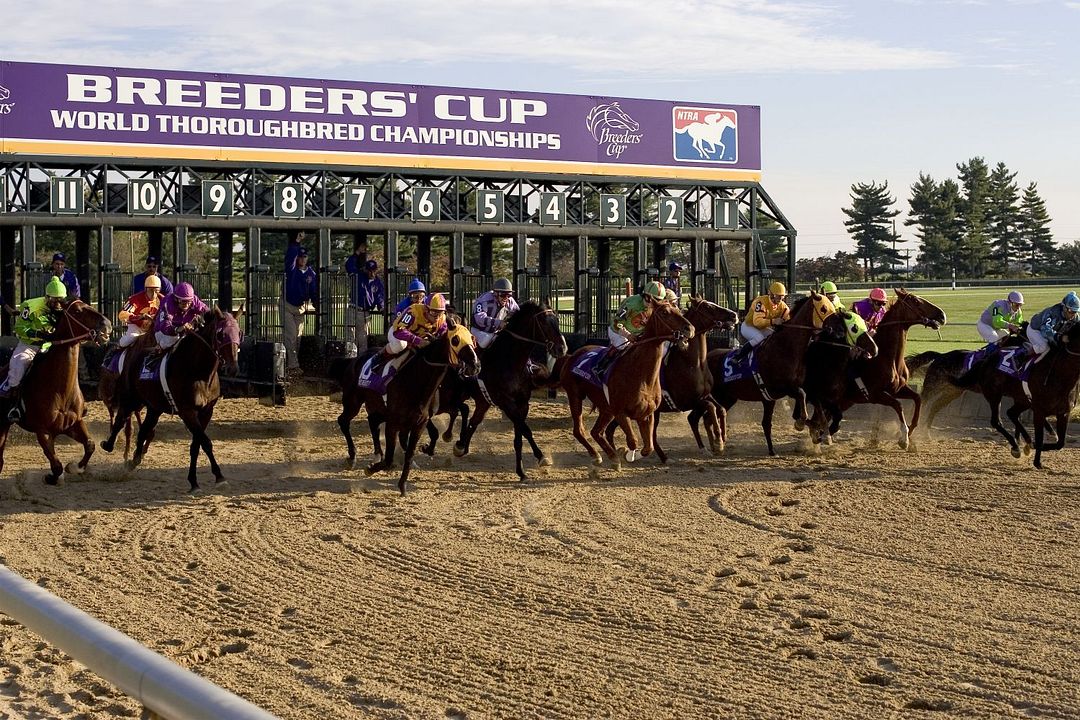 Persiguiendo un sueño : Foto