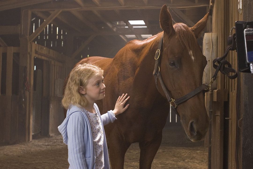 Persiguiendo un sueño : Foto