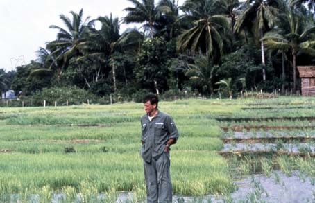 Good Morning Vietnam : Foto Barry Levinson, Robin Williams